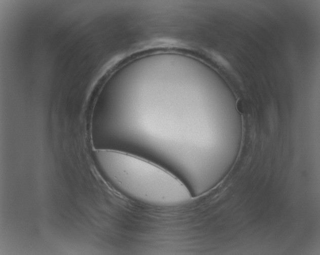 X0000051911318200506241053