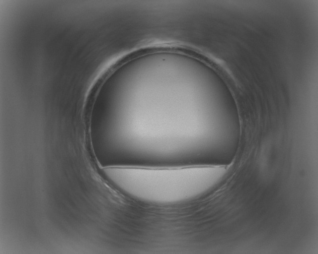 X0000051911319200506241053