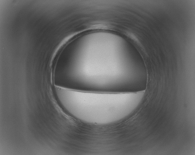 X0000051911323200506241053