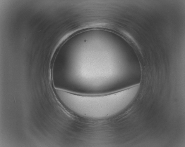 X0000051911324200506241053