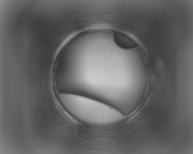 X0000051911325200506241053