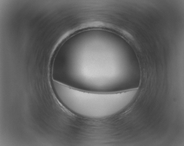 X0000051911326200506241053