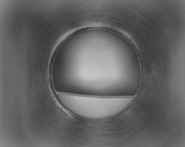 X0000051911327200506241053