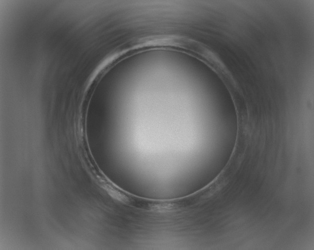 X0000051911328200506241053