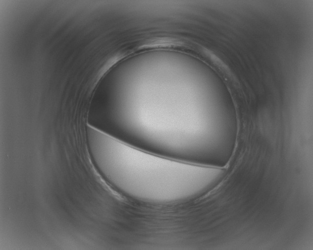 X0000051911329200506241053