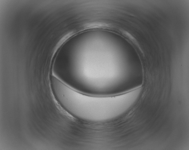 X0000051911330200506241053
