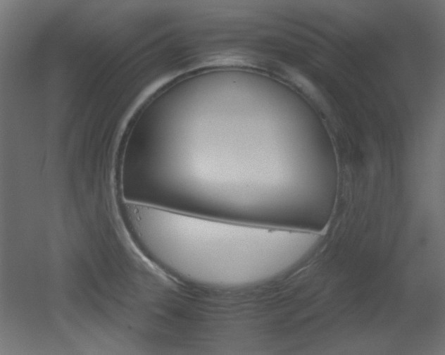 X0000051911331200506241053