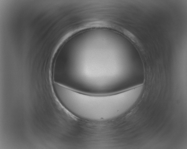 X0000051911334200506241053