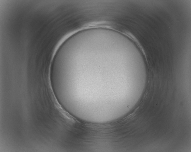 X0000051911336200506241053