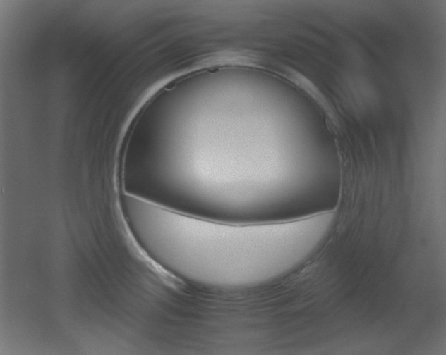 X0000051911339200506241053