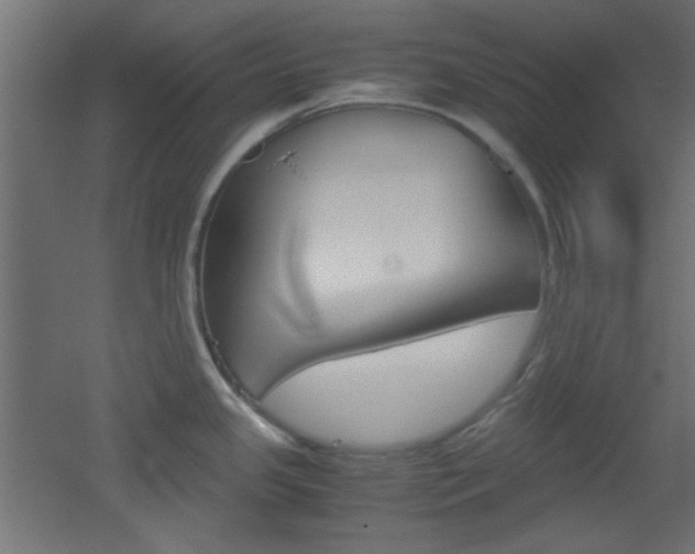 X0000051911341200506241053