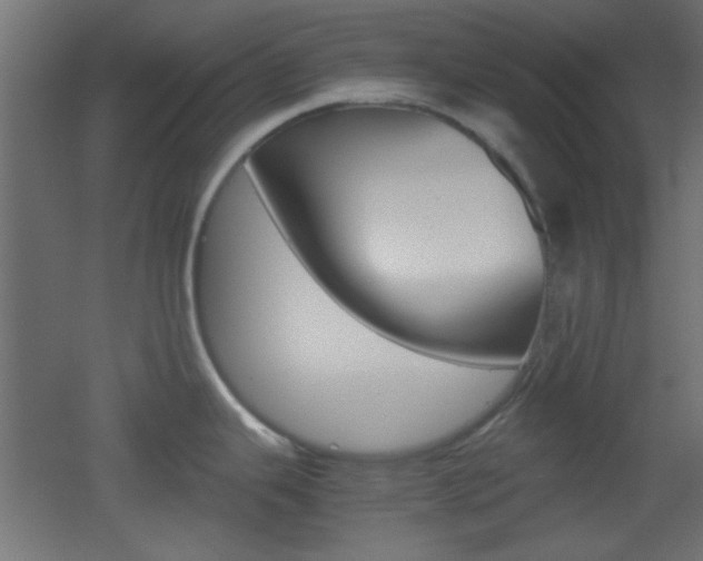 X0000051911343200506241053