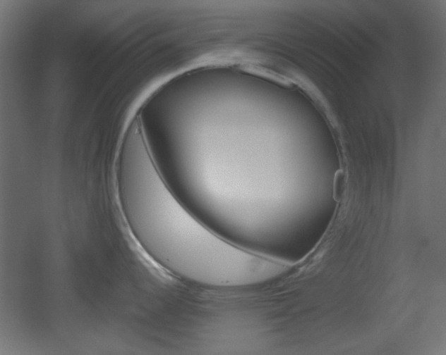 X0000051911344200506241053
