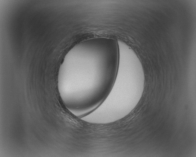 X0000051911345200506241052