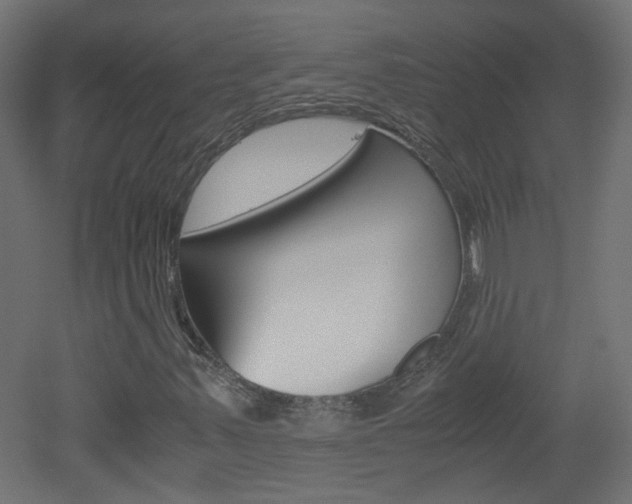 X0000051911347200506241052