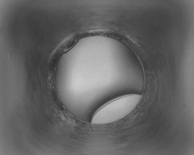 X0000051911351200506241052