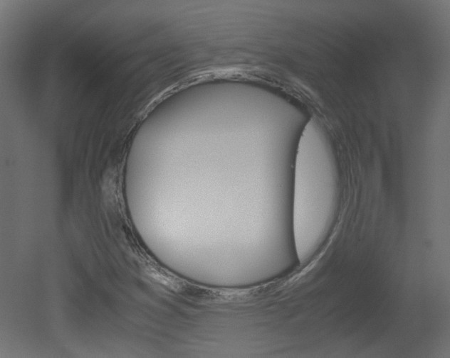 X0000051911353200506241052