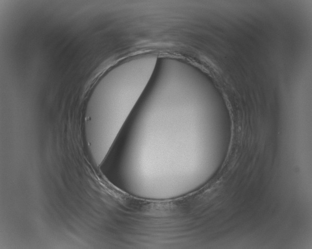 X0000051911354200506241052