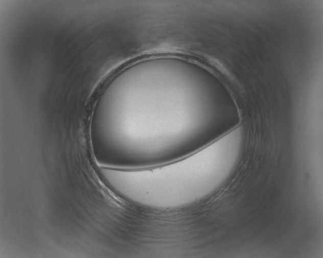 X0000051911356200506241052