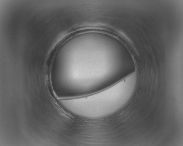 X0000051911360200506241052