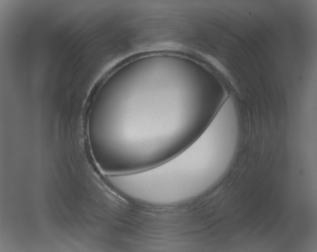 X0000051911364200506241052