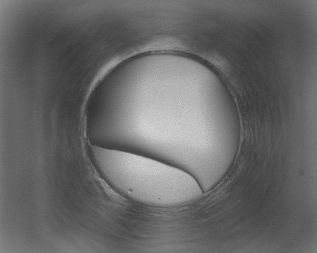 X0000051911366200506241052