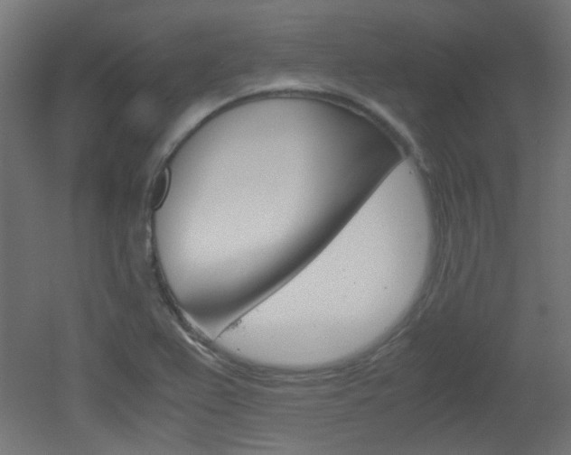 X0000051911367200506241052