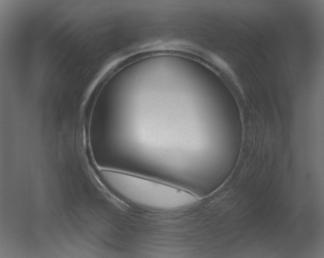 X0000051911368200506241052