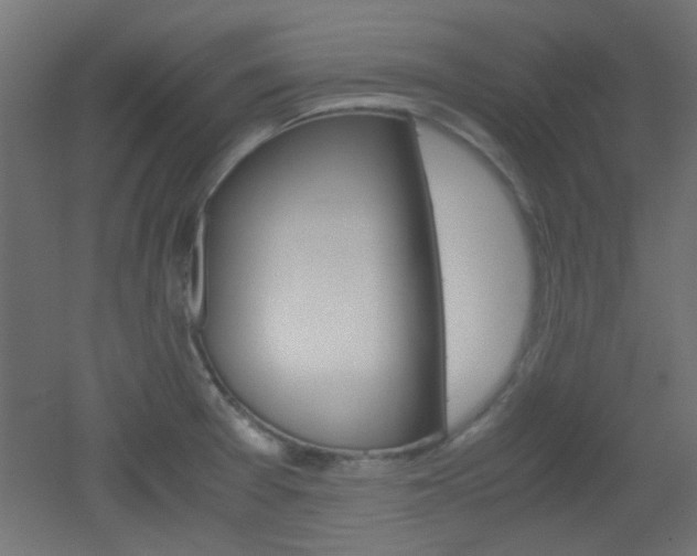 X0000051911377200506241052