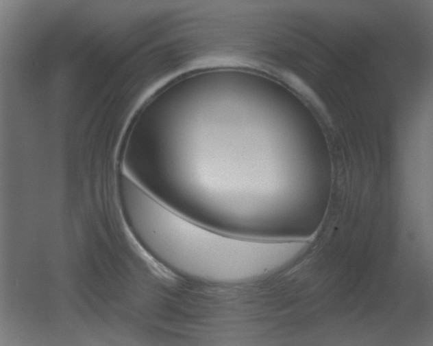 X0000051911380200506241052