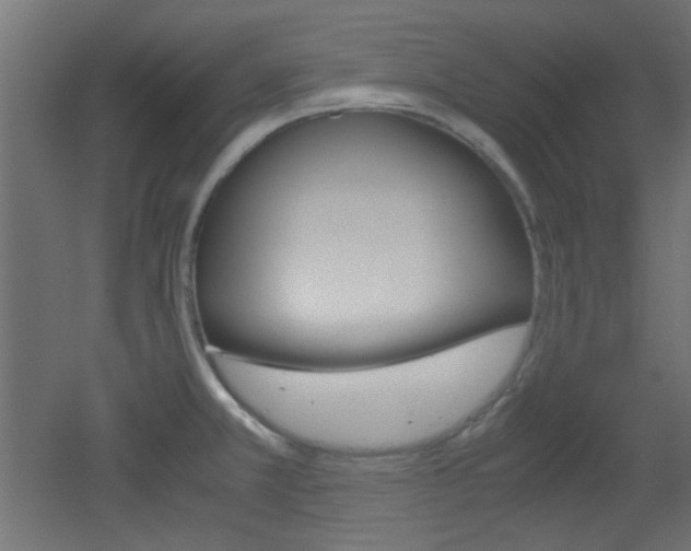 X0000051911381200506241052