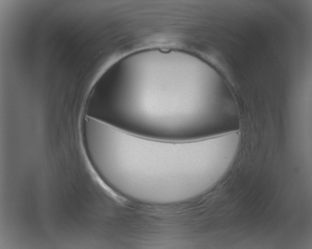 X0000051911383200506241052