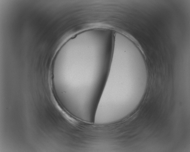 X0000051911391200506241052