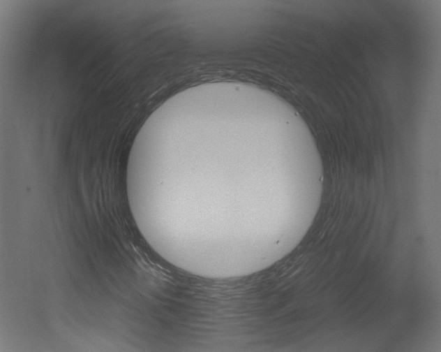 X0000051911394200506241051