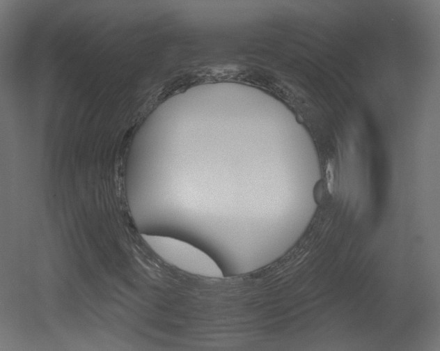 X0000051911395200506241051