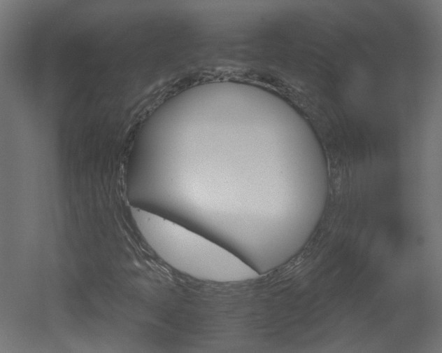 X0000051911397200506241051