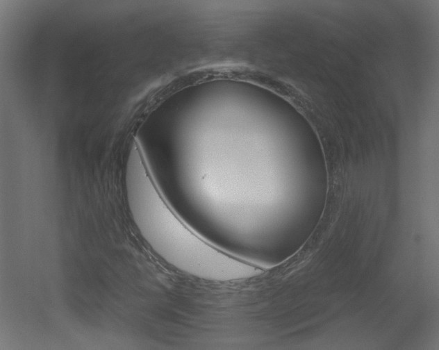 X0000051911398200506241051
