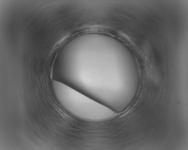 X0000051911403200506241051