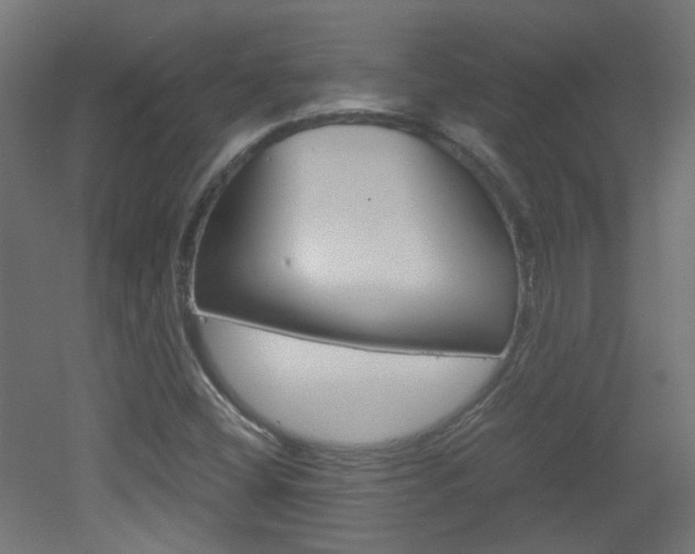 X0000051911404200506241051