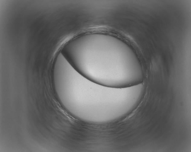 X0000051911405200506241051