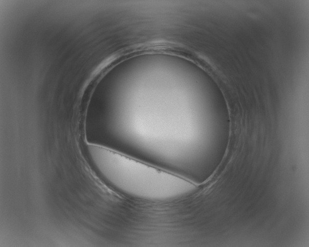 X0000051911410200506241051
