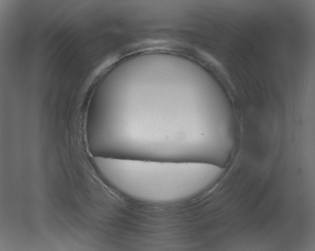 X0000051911411200506241051