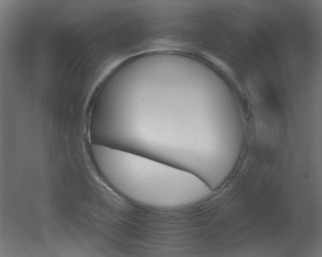X0000051911415200506241051