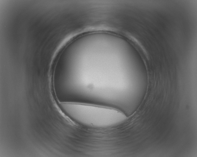 X0000051911416200506241051
