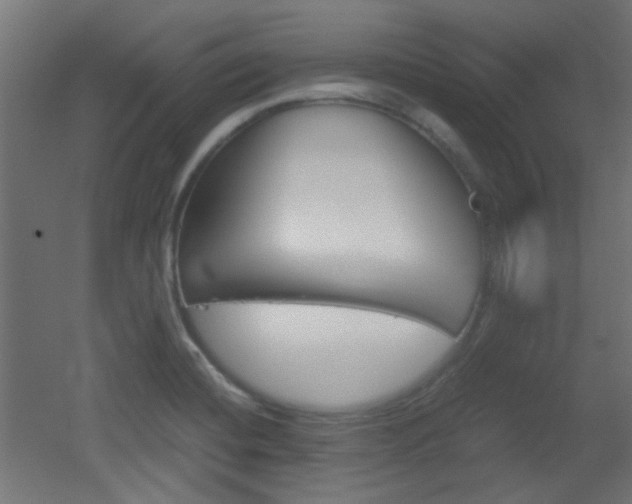 X0000051911420200506241051