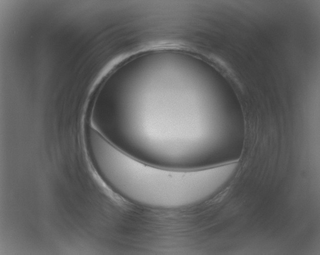 X0000051911422200506241051