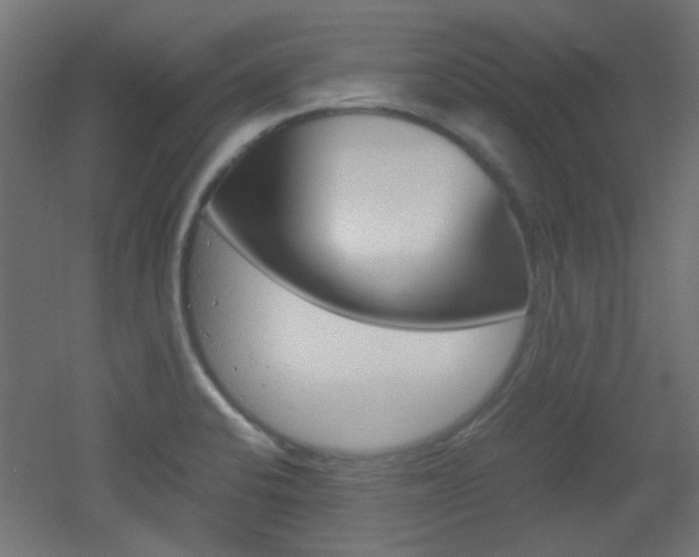 X0000051911424200506241051
