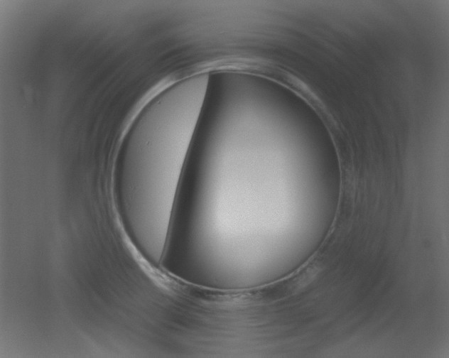 X0000051911426200506241051