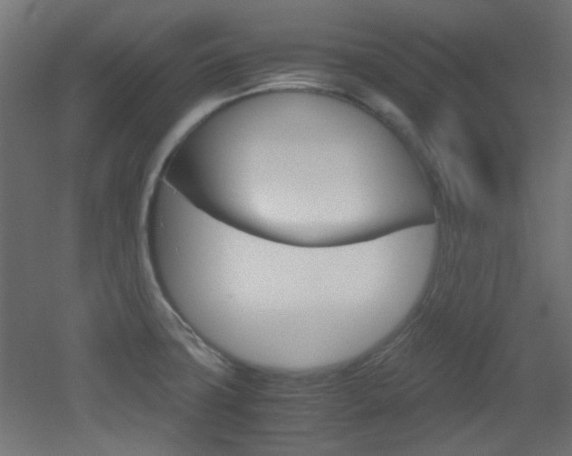 X0000051911427200506241051