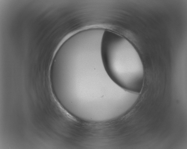 X0000051911428200506241051